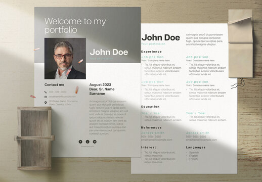 Professional Curriculum Vitae Layout