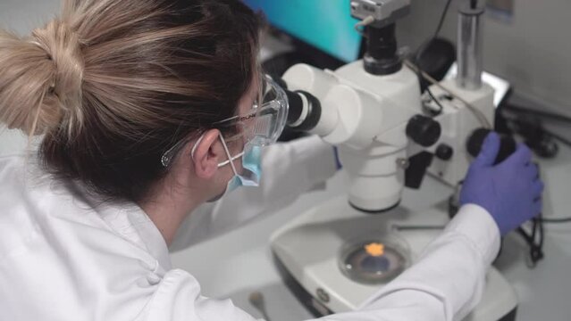 "The science behind pharmaceutical drug manufacturing"