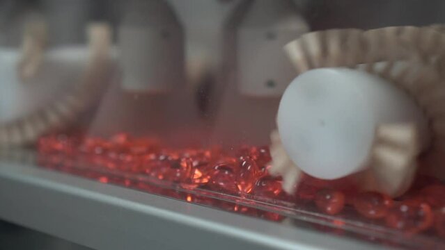 "How pharmaceutical drugs are made: a behind-the-scenes look"