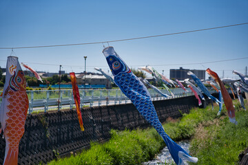 鯉のぼり, 青空, こどもの日, 空, 泳ぐ, 鯉, つるすこと, 青, 色,流れる