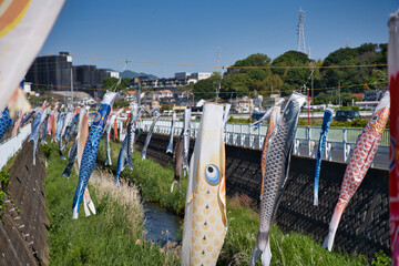 鯉のぼり, 青空, こどもの日, 空, 泳ぐ, 鯉, つるすこと, 青, 色,流れる