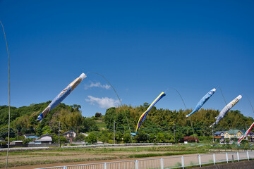鯉のぼり, 青空, こどもの日, 空, 泳ぐ, 鯉, つるすこと, 青, 色,流れる