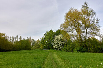 Obraz premium Hannover Anderten