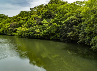 晴れた日の水辺の風景