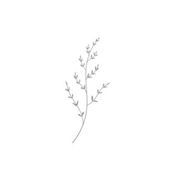 Elegant floral logo element. Branch.