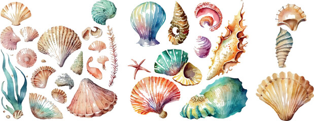 Set of different sea shells, corals and starfishes. Watercolor vector illustration