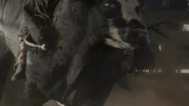 A cowboy rides a rank black bull that kicks up dust in the sunlight.