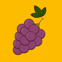 Ripe purple grapes. Bunch with an isolated leaf