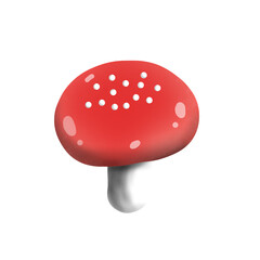 fly mushroom