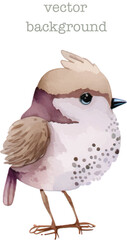 bird nature watercolor neutral colors for kids simple drawing childish cute