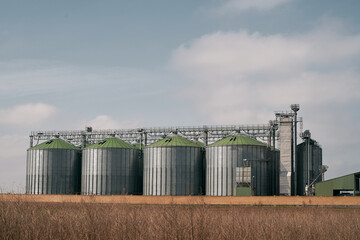 Sillos with grain in the field. Agricultural Silos for storage and drying of grains, wheat, corn, soy, and sunflower.