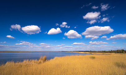 Zuvintas is the first reserve in Lithuania that has long been famous as a bird kingdom