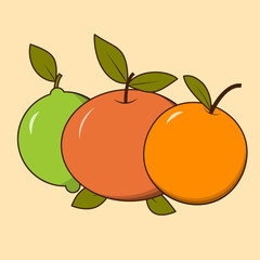 Set of citrus, lime, grapefruit, orange, whole, isolated