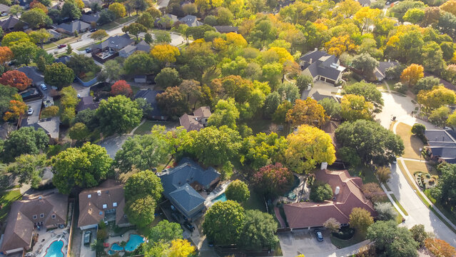 Cul-de-sac street in suburban residential neighborhood of beautiful fall foliage, lush greenery houses with swimming pool, fenced backyard in upscale area Dallas, Texas, USA