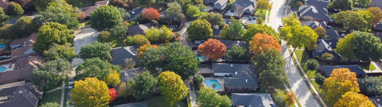 Panorama quite curved residential street and colorful autumn leaves surrounding residential houses with swimming pool, fenced backyard in upscale neighborhood Dallas, Texas, USA