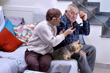 An elderly couple with their pet on the sofa in their living room using a tablet, the wife shows something on the tablet to the husband, while he is looking at the screen. Selective focus. Copy space