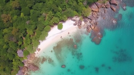 An aerial view of a pristine tropical beach with crystal clear water and sandy shore