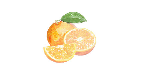 Hand painted illustration with fresh orange isolated on white background 