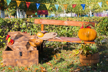pumpkins in a garden