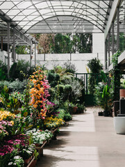 Various brightly blossom flowering plants in pots on stands and floor plants in a garden shop