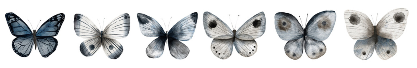 Handpainted raster watercolor isolated elements of dark butterflies. © Katia Kot