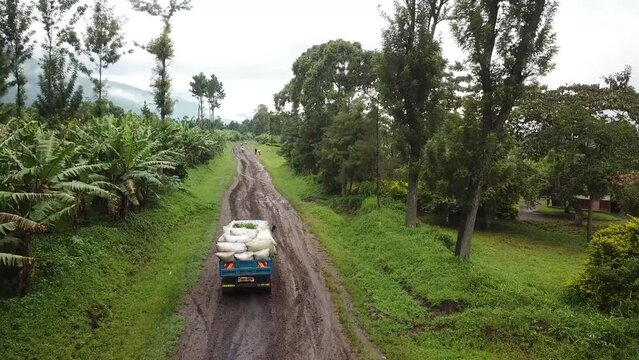 Lorry loaded with coffee beans in bags transporting to buying station. Famous arabica production, Kisinga Uganda - drone following