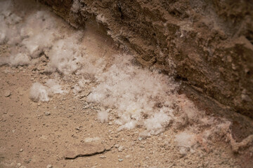 White mold on the wall in a damp basement or dungeon. Selective focus