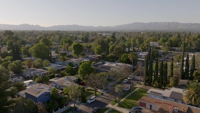Aerial dolly over suburban neighborhood in Los Angeles, streets lined with palm trees