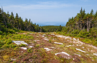 Obraz premium Spring Day at Mount Saddleback in Maine