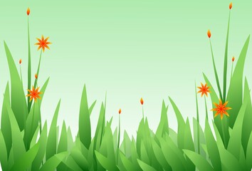 Spring background with grass and flowers. 