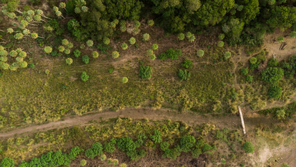 Naturaleza de ac&aacute;