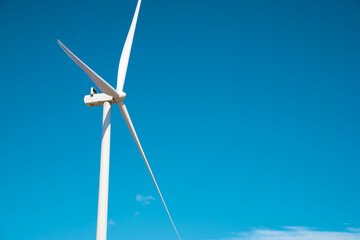 Wind turbine generator for sustainable electricity production