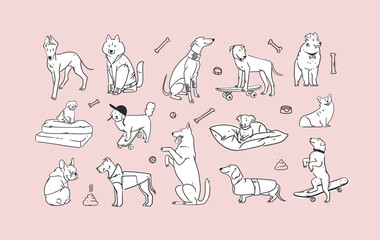 Hand drawn vector abstract graphic line collection set with diverse cute funny cartoon dogs characters.Vector illustration of funny cartoon different breeds dogs in trendy flat style. Line dog icon.