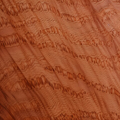 australian lacewood wood texture style 4
