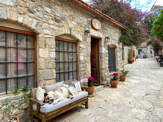 Houses in Datça district of Muğla, old Datça streets, old stone houses, animals enjoying the...