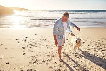 Let them off the leash and run free. a mature man taking his dog for a walk on the beach.