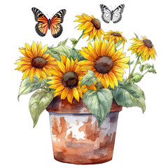 Sunflowers in pot and butterflies Watercolor Clipart Sublimation isolated on white background , transparent background, PNG, generative ai