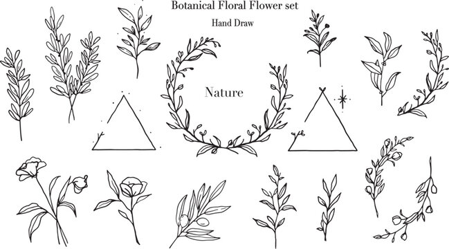Hand drawn vintage floral wreaths, frames, corners with flowers, branches and leaves. Trendy greenery elements in line art style. Vector for label, corporate identity, wedding invitation, card