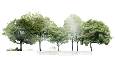 trees vector for architectural render transparent background cutout 