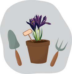 Iris flower in a pot with gardening tools. High quality vector illustration.