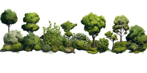 shrubs vector for architectural render 
