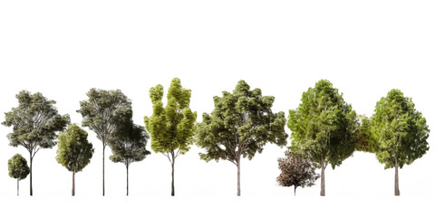 trees vector for architectural render on transparent cutout 