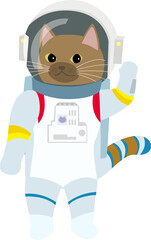 宇宙服を着た宇宙飛行士の茶色猫　月面探索