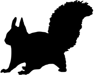 Squirrel silhouette
