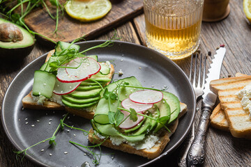 White bread toasts with cream cheese, avocado, cucumber and radish in a plate