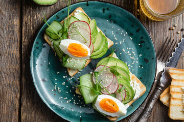 White bread toasts with cream cheese, egg, avocado, cucumber and radish in a plate