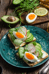 White bread toasts with cream cheese, egg, avocado, cucumber and radish in a plate