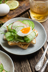 White bread toasts with cream cheese, egg, avocado, cucumber and radish in a plate