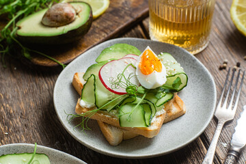 White bread toasts with cream cheese, egg, avocado, cucumber and radish in a plate