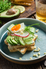 White bread toasts with cream cheese, egg, avocado, cucumber and radish in a plate